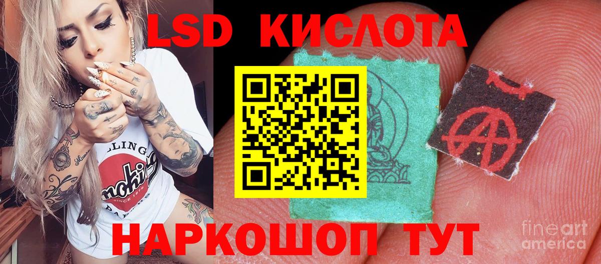 Наркотические марки 1500мкг  Вход с VPN  Наркотические марки 1500мкг  Гатчина 