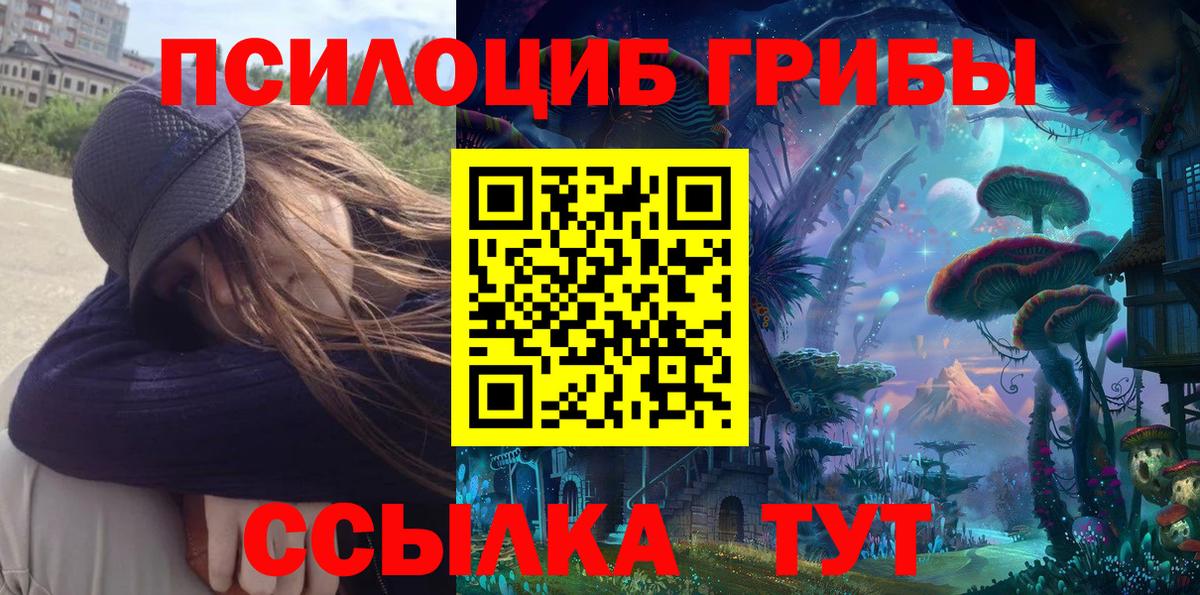 Галлюциногенные грибы Cubensis Гатчина