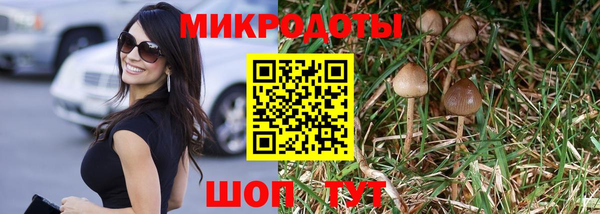 Галлюциногенные грибы Psilocybe  Вход с VPN  купить   Гатчина 