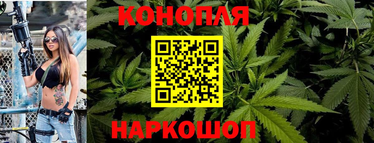 Шишки марихуана марихуана Гатчина